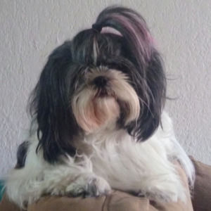 Meet your Posher, William